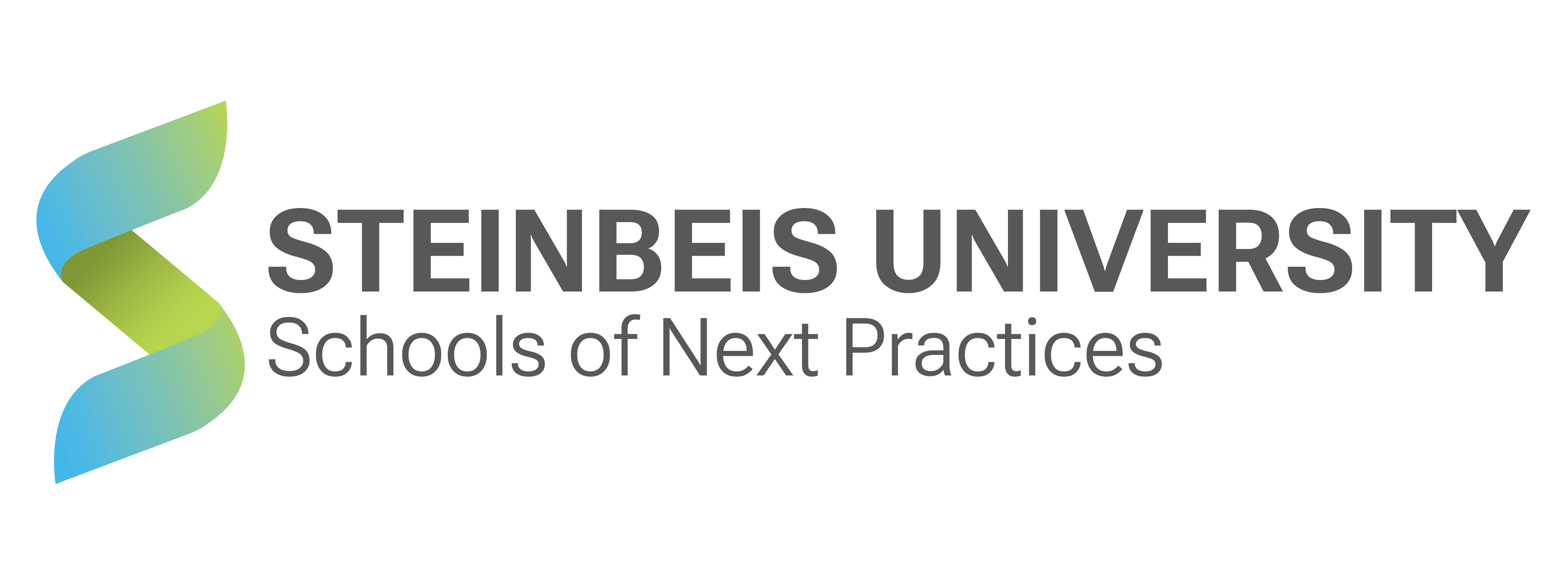 Steinbeis University